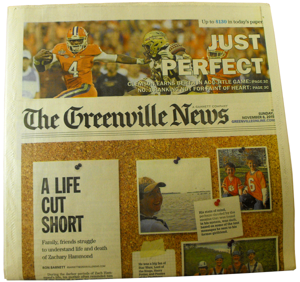 The Greenville News - "Just Perfect"