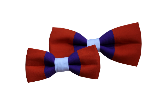 Clemson Bowtie for Dogs