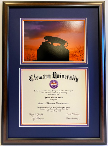 Clemson Diploma Frame Tiger On The Rock #35